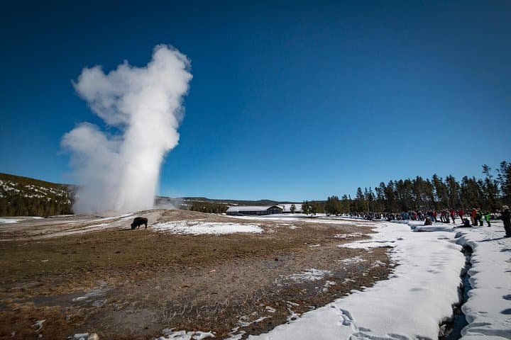Yellowstone Snowcoach Tour from Jackson Hole: See Old Faithful in Winter photo 4