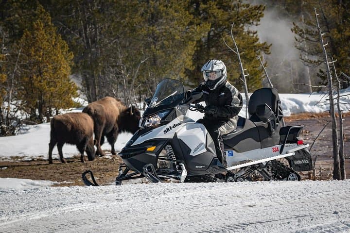 Full-Day Snowmobile Tour to Old Faithful & Lower Loop from Jackson Hole photo 4