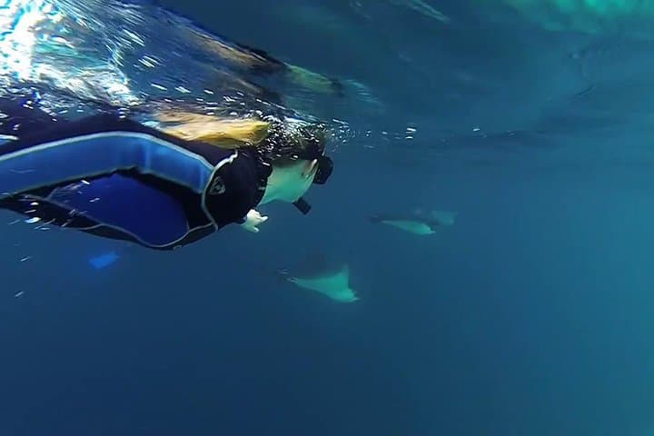 Snorkel Kicker Rock (León Dormido) — Full-Day Snorkel & Wildlife Trip from Puerto Baquerizo Moreno photo 4