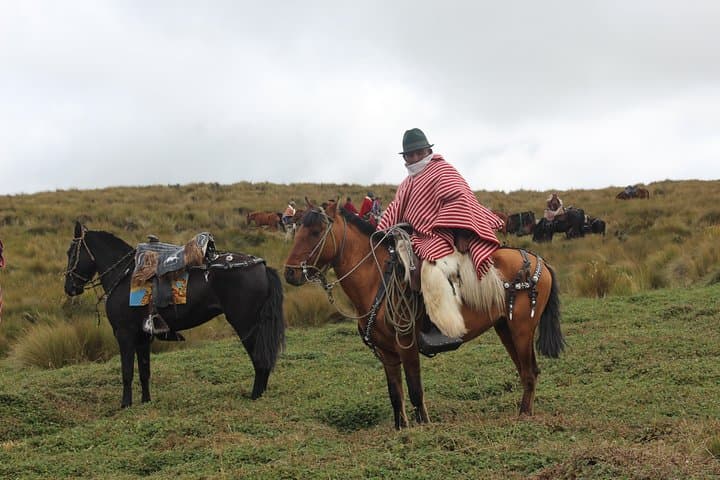 Cable Car and Horseback Ride to Cruz Loma — Half-Day Quito Teleférico Adventure photo 6