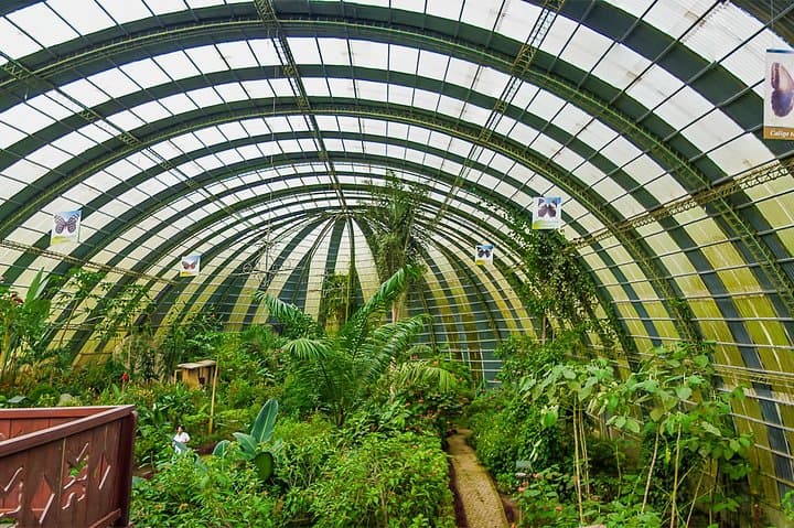 Full-Day Selvatura Monteverde Cloud Forest Adventure from Guanacaste photo 4