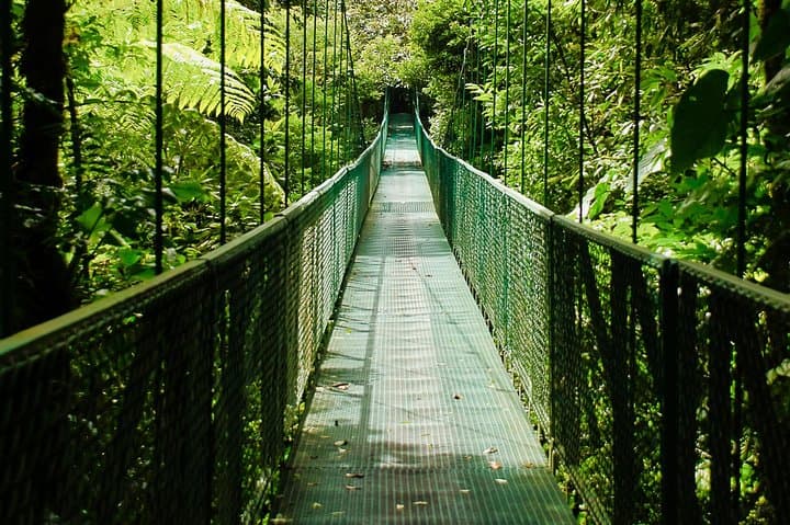 Full-Day Selvatura Monteverde Cloud Forest Adventure from Guanacaste photo 6