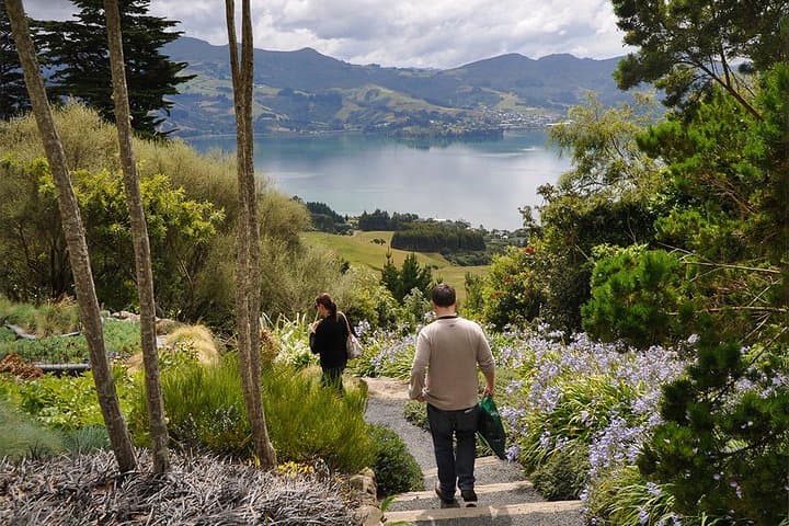 Larnach Castle & Dunedin Small-Group Tour: Otago Peninsula Highlights photo 3