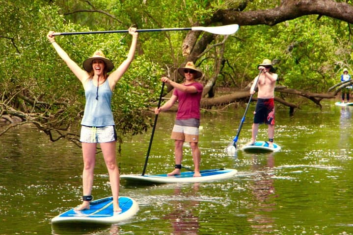 Byron Stand Up Paddle Nature Tour on the Brunswick River photo 4