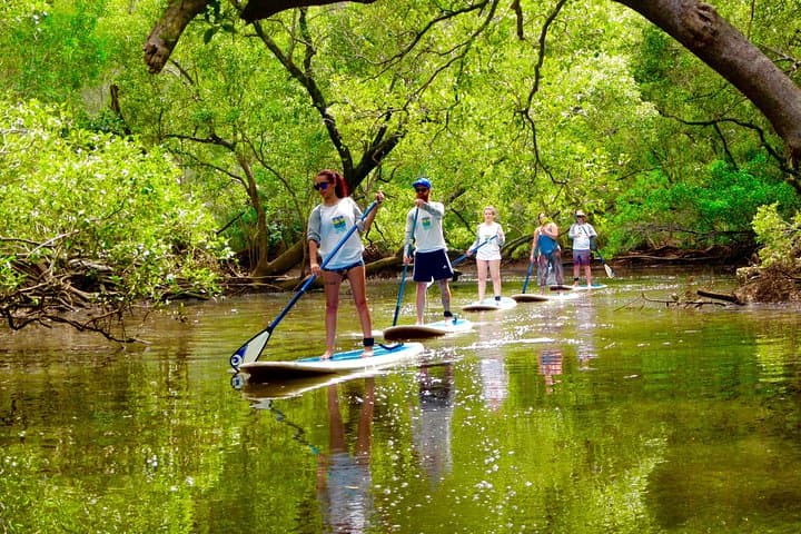 Byron Stand Up Paddle Nature Tour on the Brunswick River