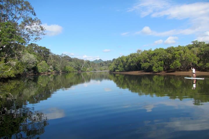 Byron Stand Up Paddle Nature Tour on the Brunswick River photo 2