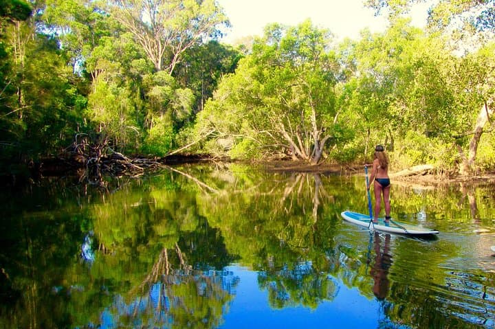 Byron Stand Up Paddle Nature Tour on the Brunswick River photo 6