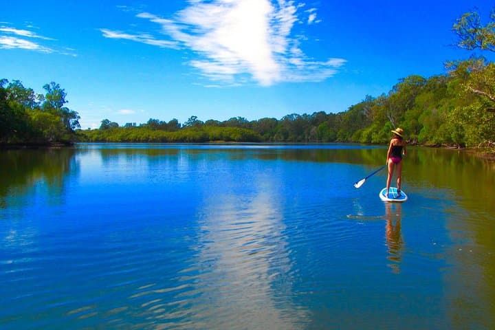 Byron Stand Up Paddle Nature Tour on the Brunswick River photo 5