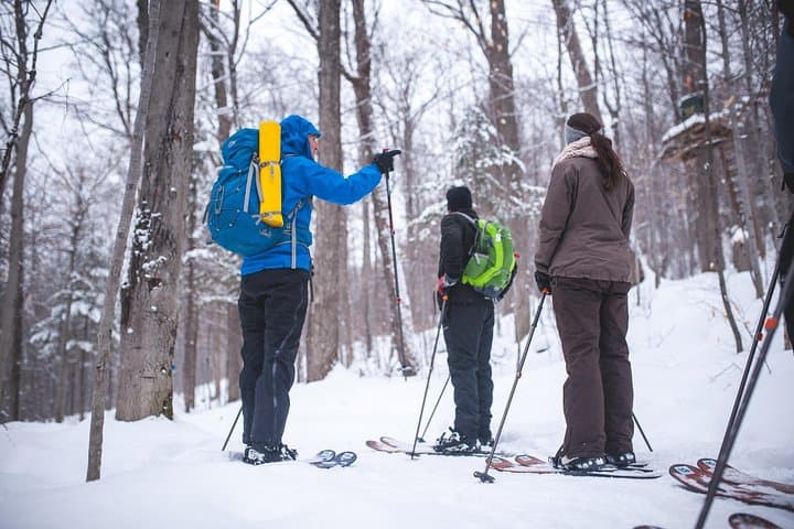 Hok-Ski Ski-Shoeing Excursion in Jacques-Cartier National Park — Winter Day Trip from Quebec City photo 4