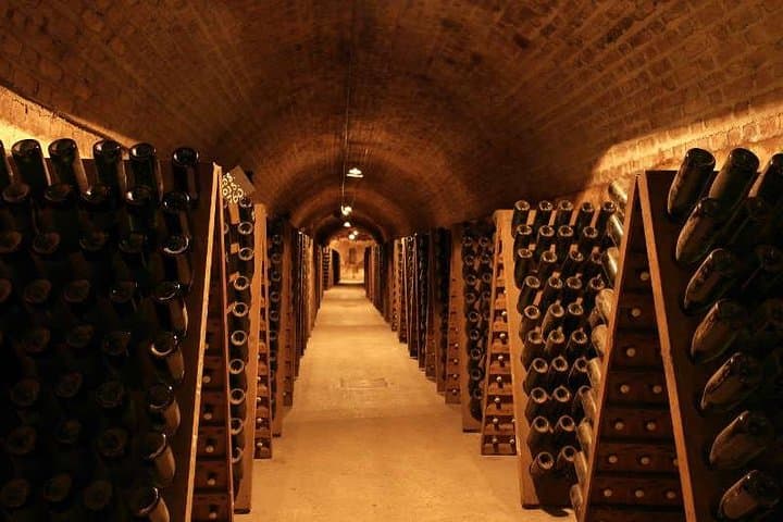 Champagne and Reims Day Trip from Paris — Épernay Cellars, Vineyard Views & Reims Cathedral photo 5