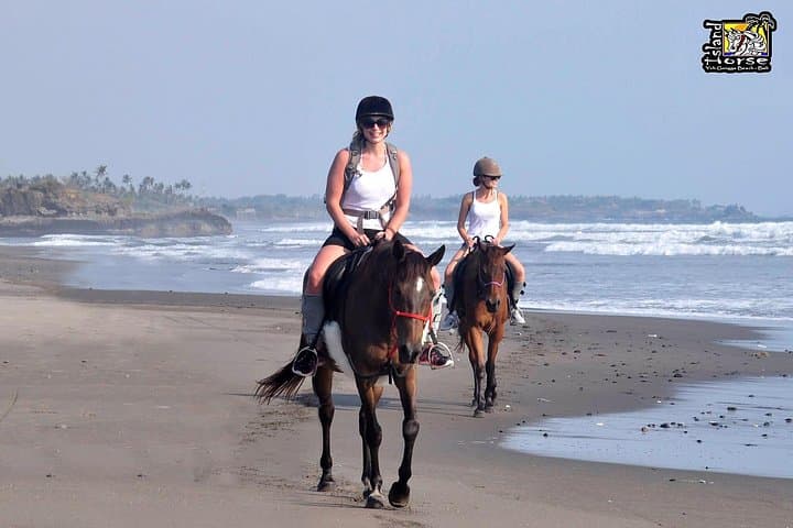 Horseback Riding on Bali's Black Sand Beach — Ubud-to-Keramas Day Tour photo 2
