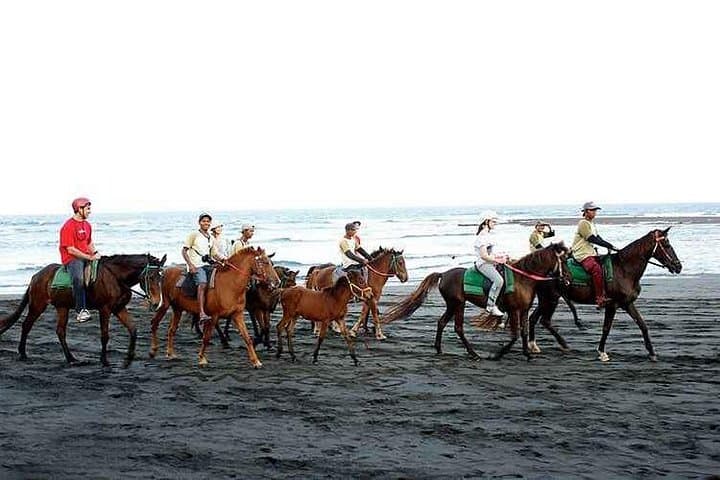 Horseback Riding on Bali's Black Sand Beach — Ubud-to-Keramas Day Tour photo 4