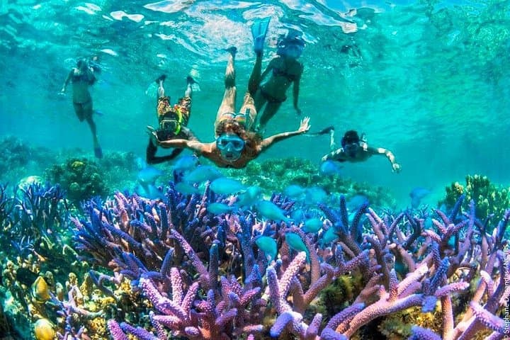 Blue Lagoon Snorkeling East Bali: Half-Day Snorkel from Padangbai with Lunch photo 2