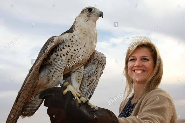 Dubai Evening Desert Safari: Red Dunes, Camel Ride & BBQ Dinner photo 5