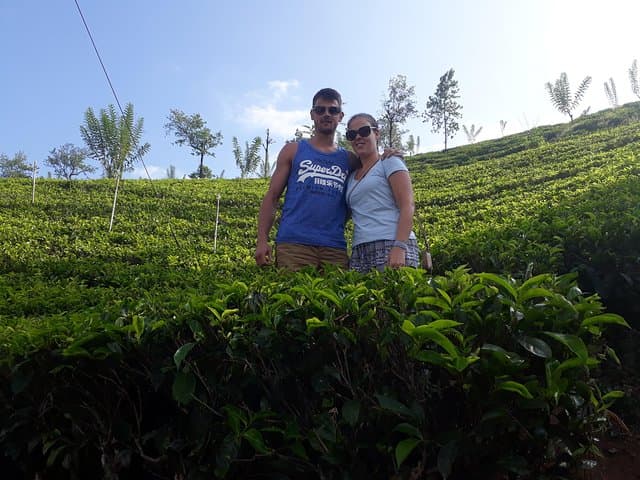 Nuwara Eliya Day Tour: Ramboda Falls, Tea Factory & Colonial Hill Station photo 5