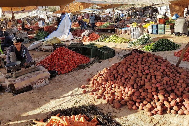 Atlas Mountains & Five Valleys Day Tour from Marrakech photo 6