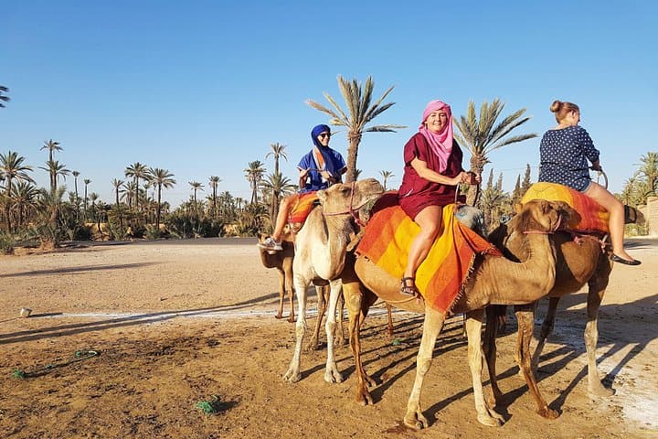 Majorelle Garden, Berber Museum & Palm Oasis Camel Ride — Half-Day Cultural Tour from Marrakech photo 5