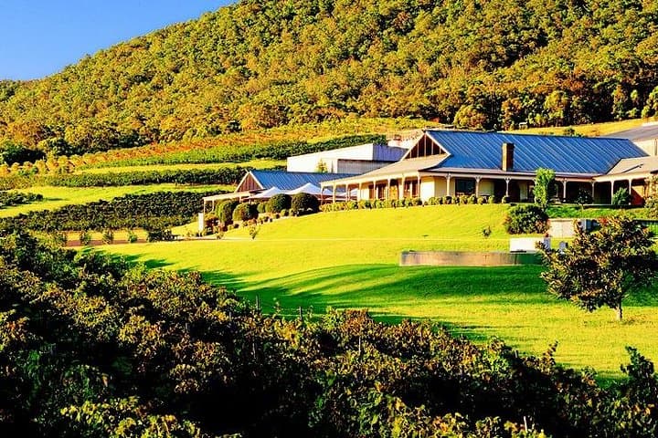 Hunter Express Helicopter Flight: 6-Min Scenic Tour Over Hunter Valley photo 6