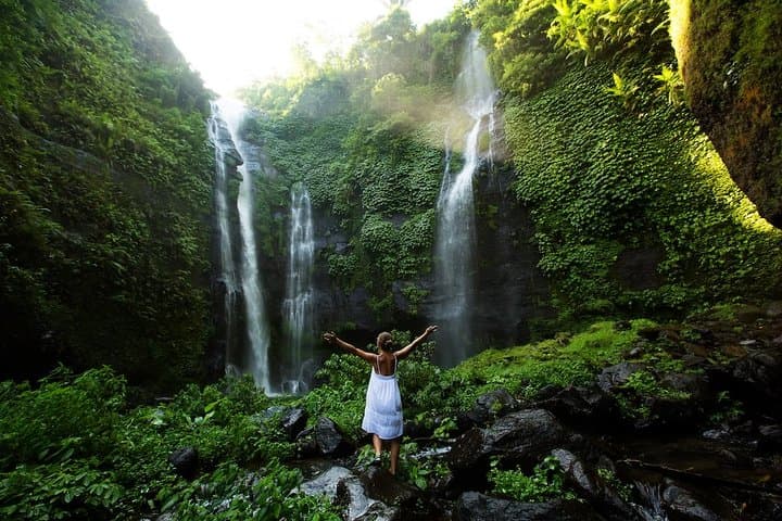 Gitgit & Aling-Aling Waterfalls and Pura Taman Ayun — Full-Day Adventure from Seminyak photo 4