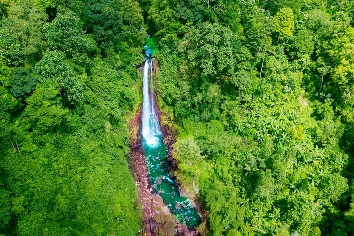 Gitgit & Aling-Aling Waterfalls and Pura Taman Ayun — Full-Day Adventure from Seminyak photo 6