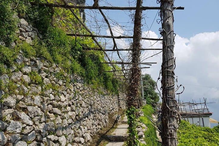 Ravello to Amalfi: A Private Walking Tour Following Escher’s Amalfi Coast photo 3
