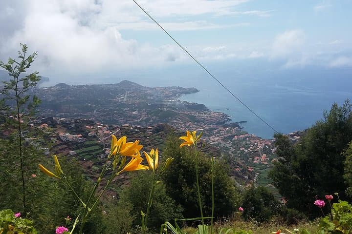 Madeira Half-Day 4x4 Safari: Poncha, Mountains, Vineyards & Cabo Girão photo 3