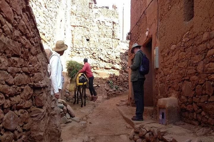High Atlas Day Trip from Marrakech — Villages, Waterfalls & Berber Lunch