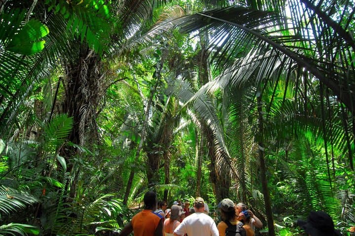 Hiking and River Tubing in Cockscomb Basin Wildlife Sanctuary
