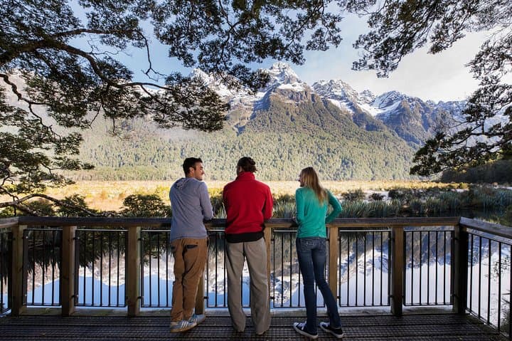 Milford Sound Coach & Nature Cruise from Te Anau with Lunch photo 4