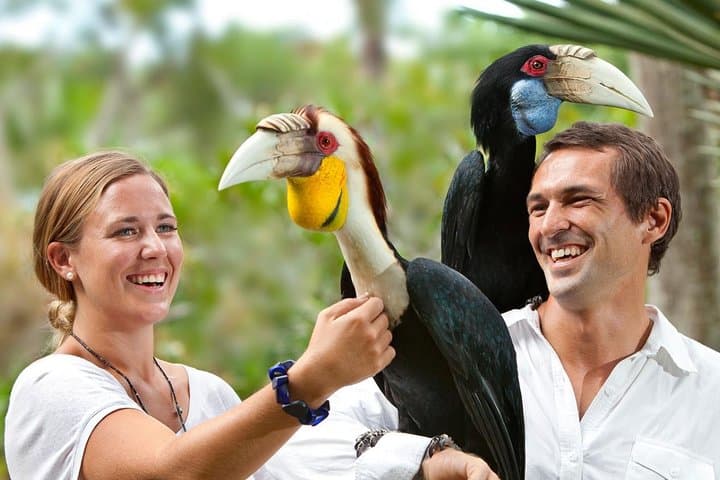 Full-Day Bali Bird Park and Kintamani Volcano Tour — Ubud Villages & Rice Terraces photo 5