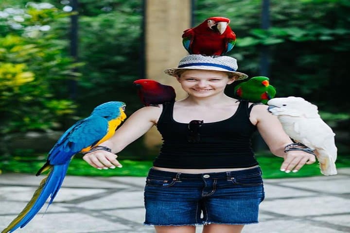 Bali Bird Park to Tegalalang: Private Ubud Day Tour photo 4