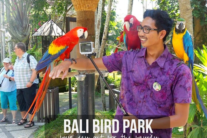 Bali Bird Park to Tegalalang: Private Ubud Day Tour photo 5