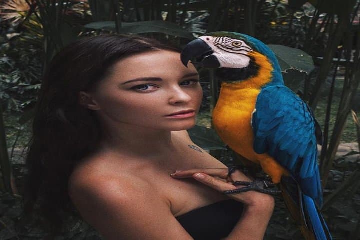 Full-Day Bali Bird Park and Kintamani Volcano Tour — Ubud Villages & Rice Terraces photo 3