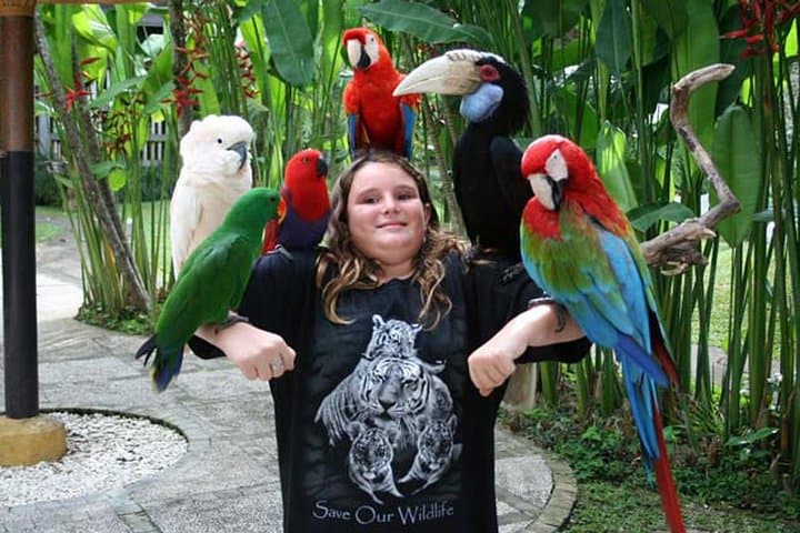 Full-Day Bali Bird Park and Kintamani Volcano Tour — Ubud Villages & Rice Terraces photo 4