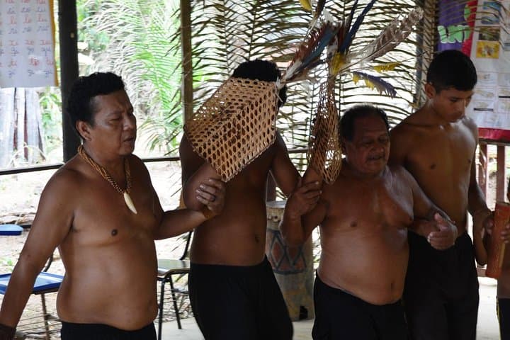 Tucandeira Ants Indigenous Ritual: Sateré Mawé Ceremony from Manaus photo 2