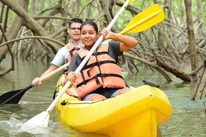 Paddle Isla Damas: Mangrove Kayaking Tour from Jacó with Wildlife Viewing photo 6