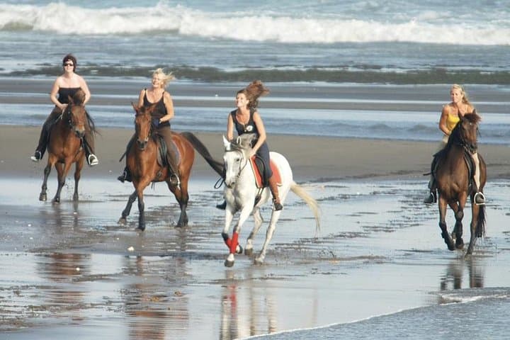 Horseback Riding on Bali's Black Sand Beach and Twin Waterfalls