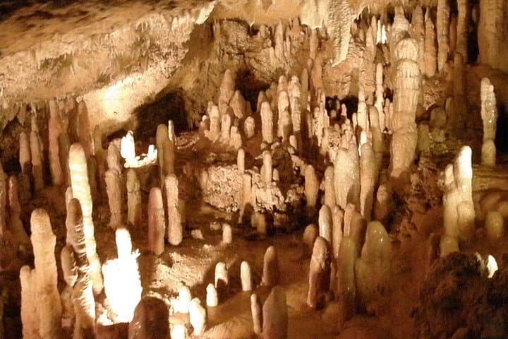 Half-Day Barbados Tour: Harrison's Cave, Hunte's Garden & Bathsheba Views photo 6