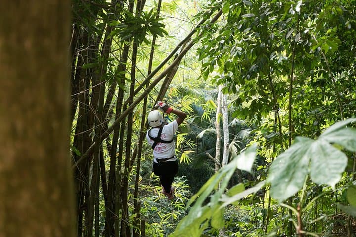 Treetop Canopy Adventure St Lucia: 11-Line Rainforest Zipline Tour photo 3