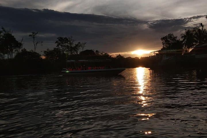 Klias Wildlife Safari River Cruise: Proboscis Monkeys, Sunset & Fireflies from Kota Kinabalu photo 3