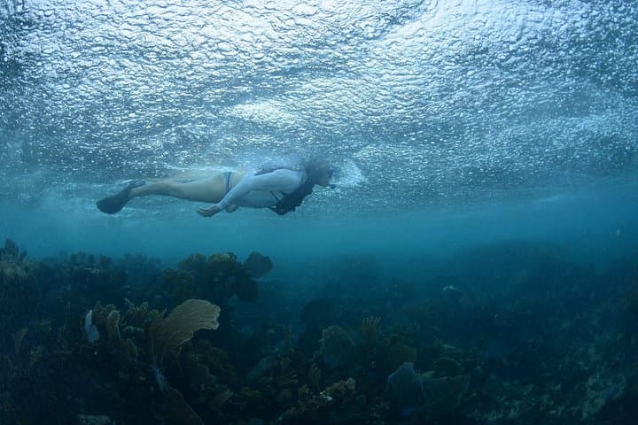 Snorkel, ATV & Cenote Adventure from Cancun — Reef, Ziplines and Cenote Jumps photo 3