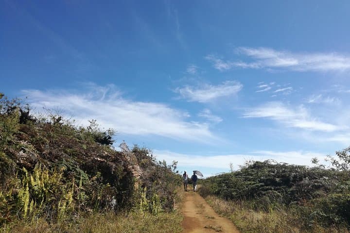 Sierra Negra Volcano Hike — Day Trip from Puerto Villamil, Isabela Island photo 3