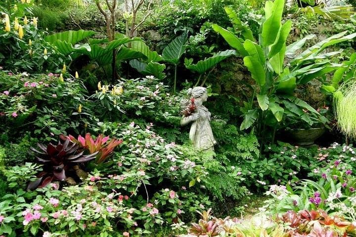 Half-Day Barbados Tour: Harrison's Cave, Hunte's Garden & Bathsheba Views photo 3