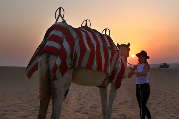 Dubai Sunset Camel Trek Trekking & BBQ at VIP Bedouin Camp