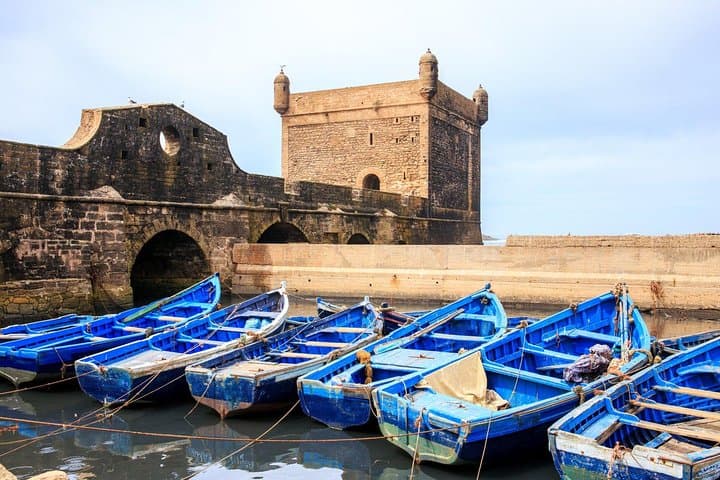 Essaouira Day Trip from Marrakech: Winds, Medina & Argan Oil Cooperatives
