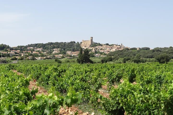 Highlights of Provence: Chateauneuf-du-Pape & Luberon Day Tour from Avignon photo 3