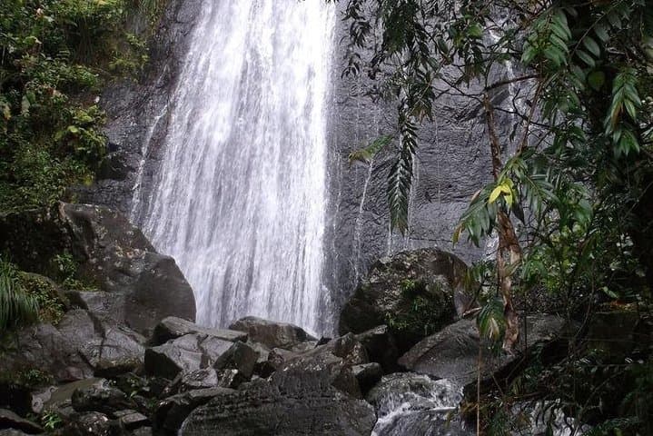 Half-Day El Yunque Rainforest Tour from San Juan — Waterfalls, Tower Views & Short Hike photo 6