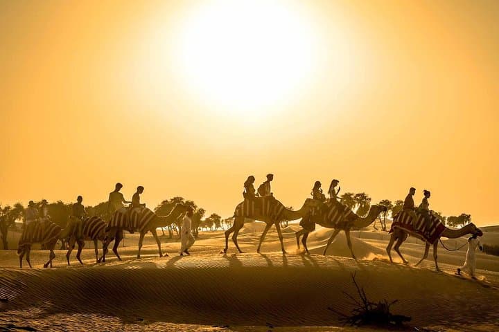Dubai Sunset Camel Trek: Bedouin Camp, Camel Ride & BBQ Dinner Experience