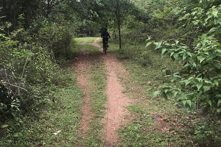Rural Cycling in Kanchanaburi: 2–3 Hour Ride Through Rice Fields & Birdlife photo 4
