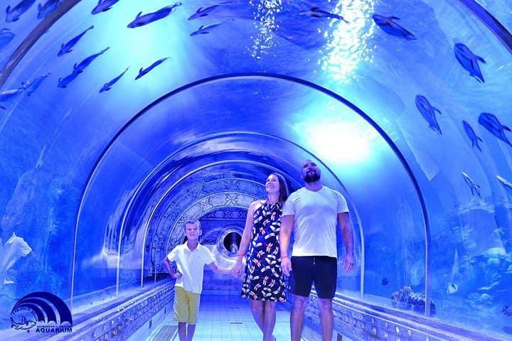Hurghada Grand Aquarium: Walk the Underwater Tunnel & Shark Feedings